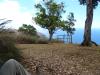 P1000267-VP w knee-thumb.jpg